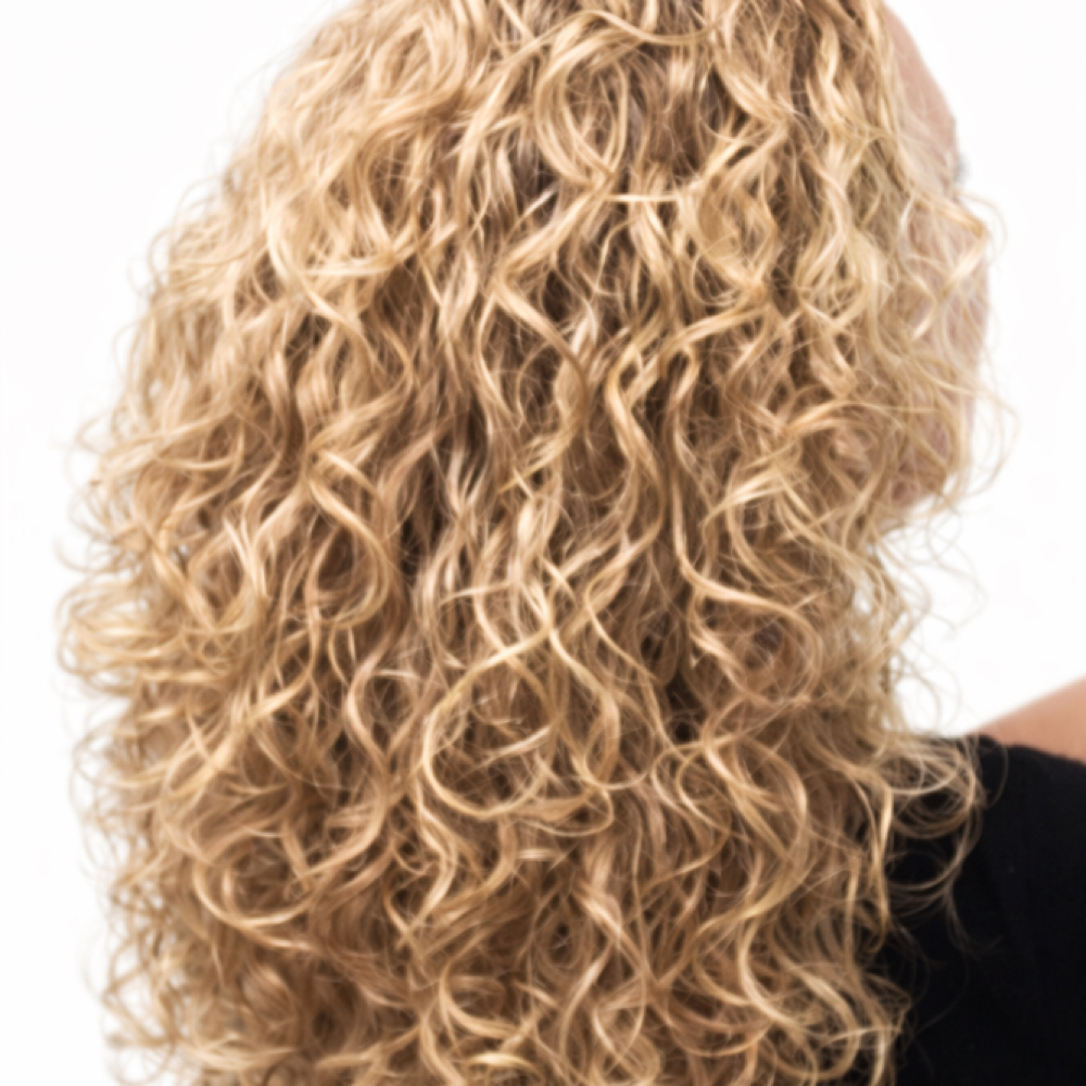 DEVA CUT WASH & STYLE CURLY at Blown Away Hair Lounge in Spring Hill, FL