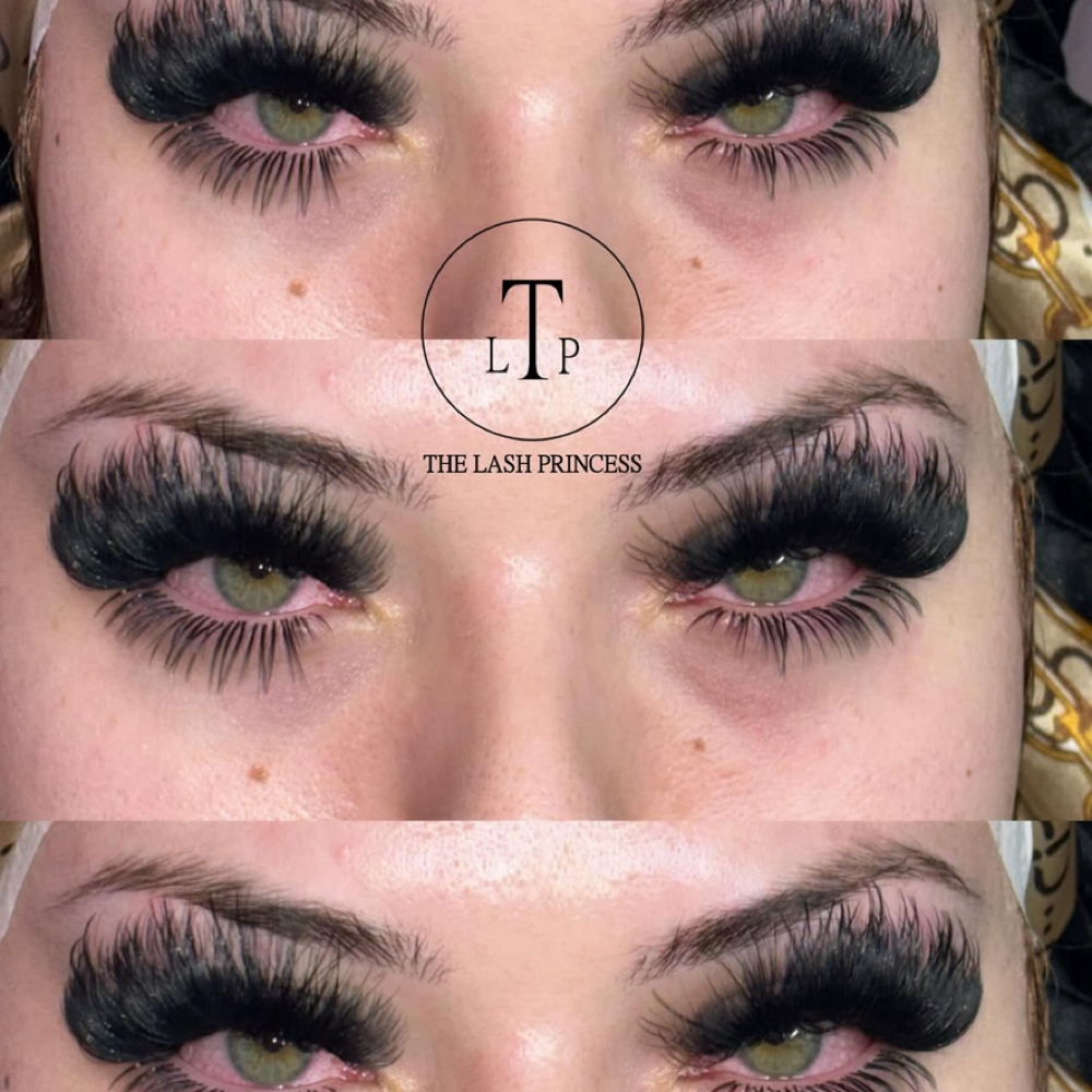 Mega Volume at The lash princess in Oak Park, MI