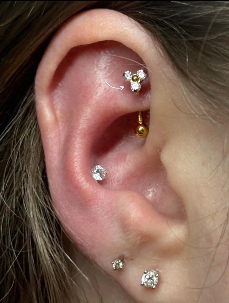 Rook at Retro Glow Beauty Co in Enumclaw, WA