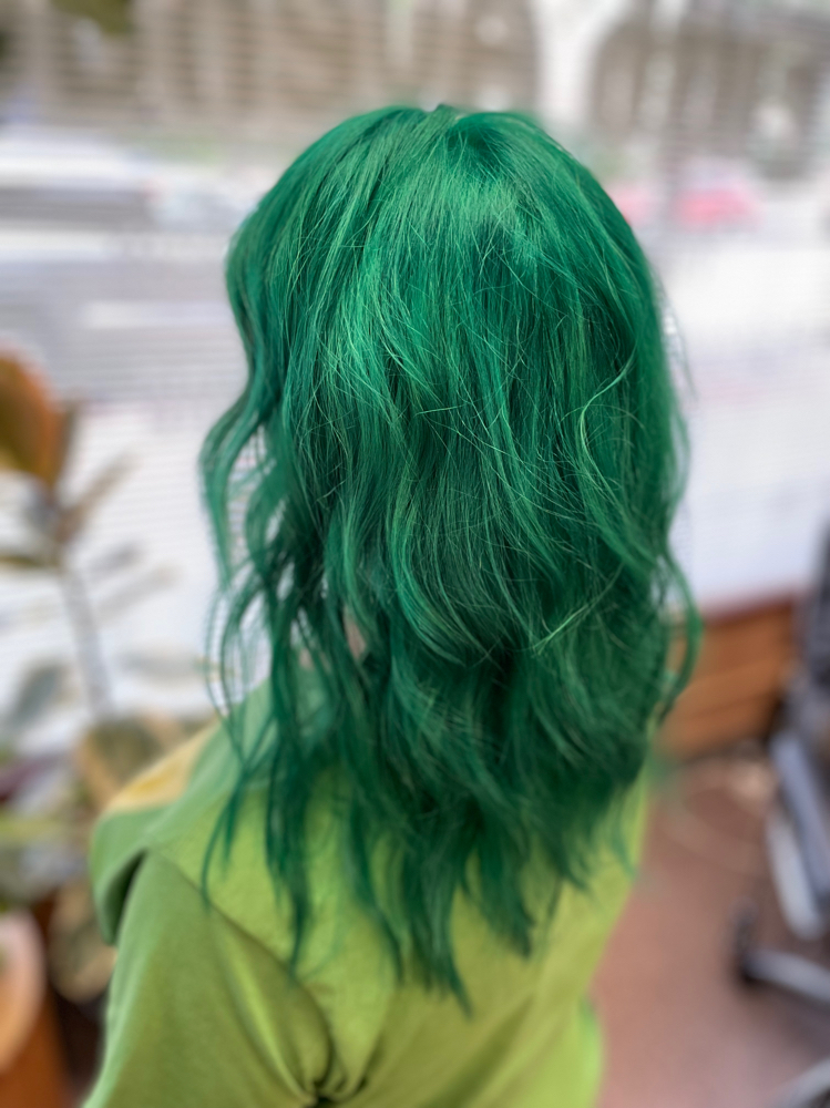 Fashion Color Refresh