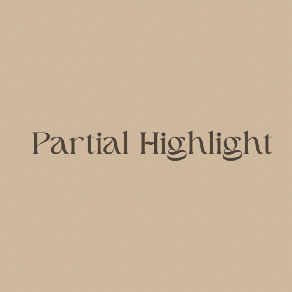 Partial Highlight at The Bronze Beauty Collective in Covington, LA