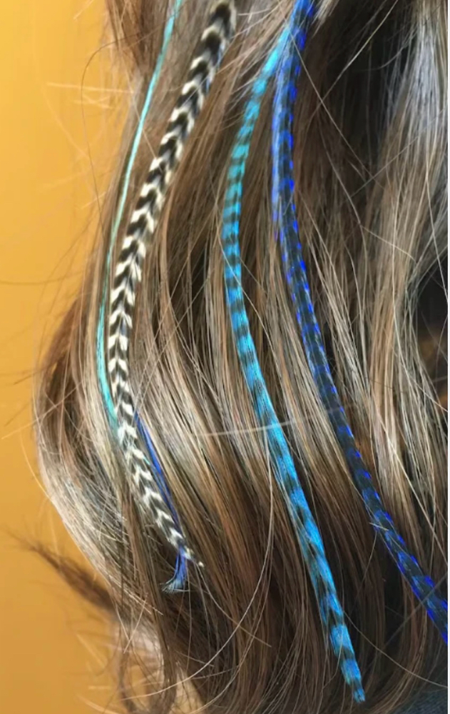 Feathers