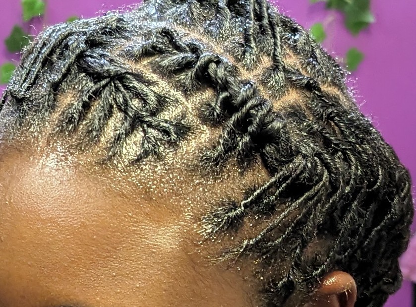 Starter Locs (Small)