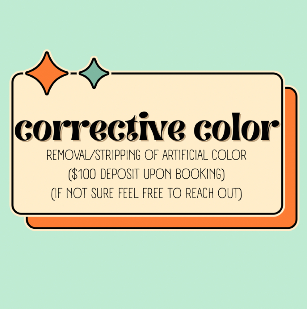 Corrective Color at Garnet Tiger Studio in Dunwoody, GA