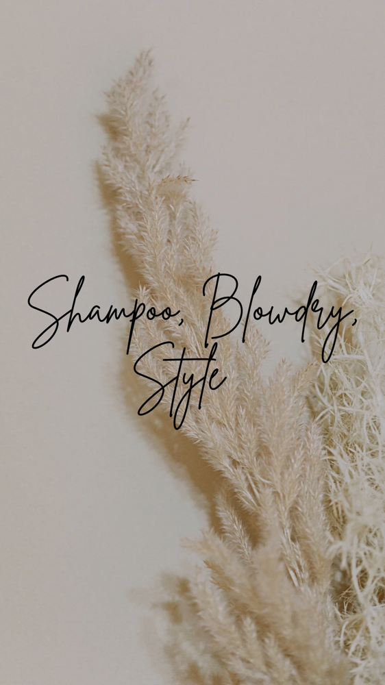 Shampoo, Blowdry, Style