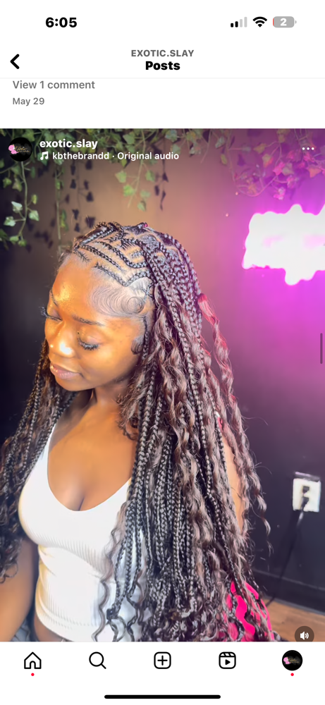 Boho Fulani/tribal Braids