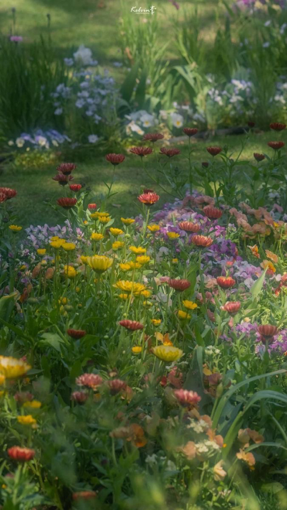 Single All Over Color