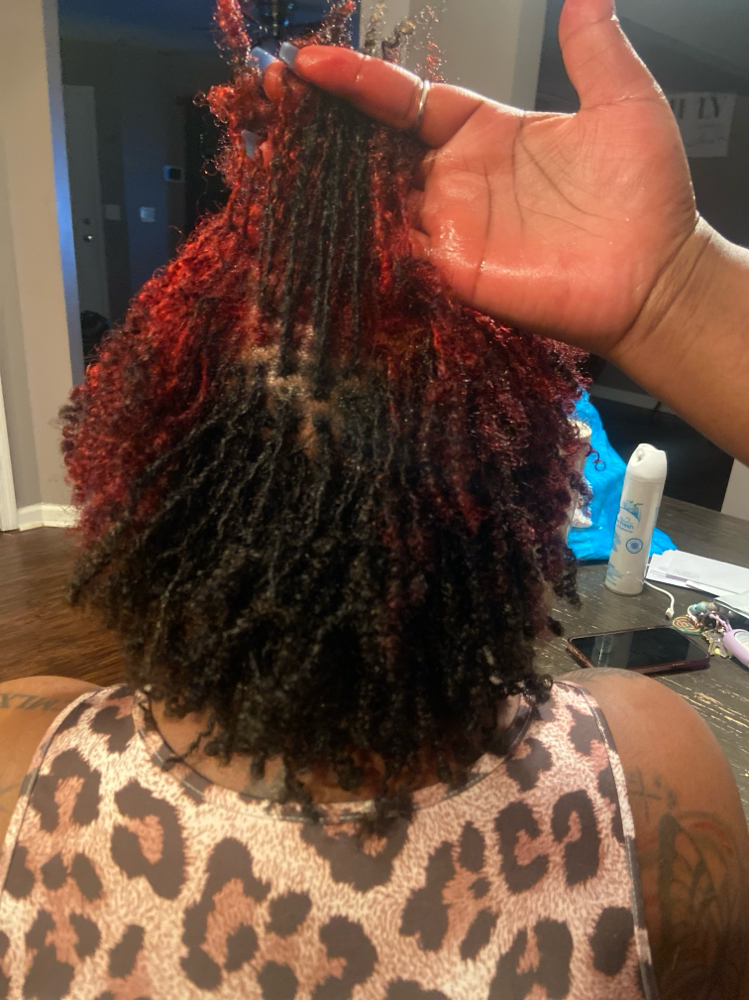 Micro Mini Twistš„ at Ari Locs and Styles in Cincinnati, OH