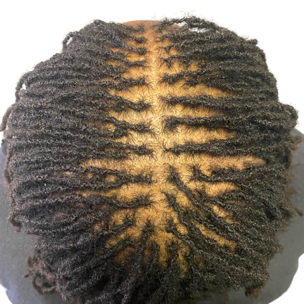 2 Hour Retie (No Shampoo)