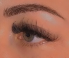 Lash Extension Refills