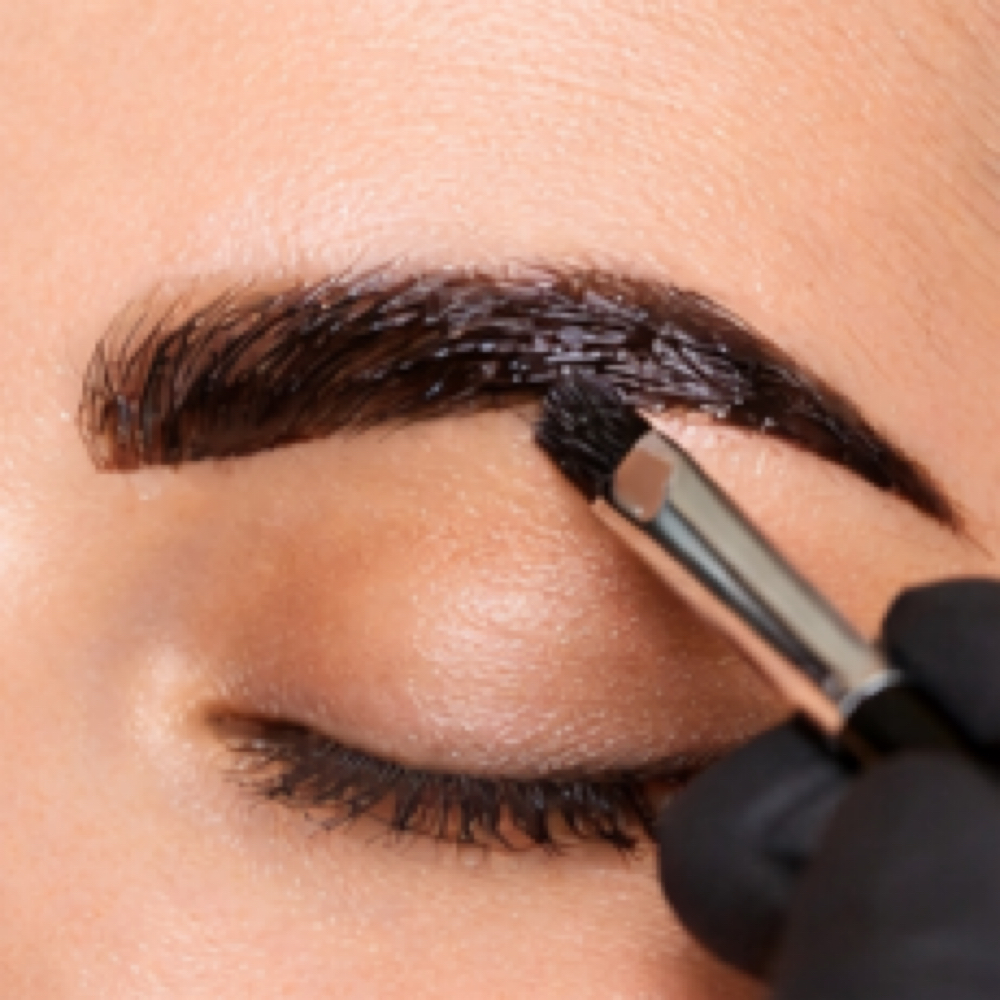 Brow Tint at Wanderlust Beauty Co. in Plymouth, MA