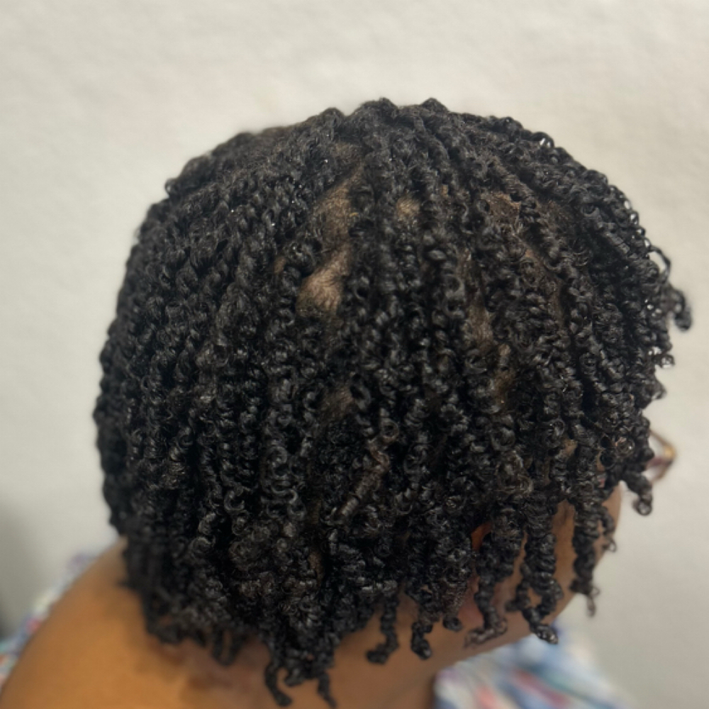 Two Strand Twists at Elaine Collins in Plano, TX