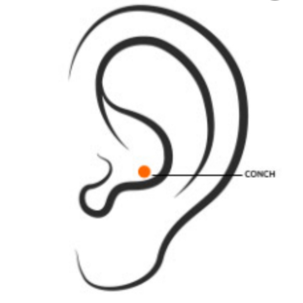 Conch Piercing at The Lash & Brow Room, LLC in Natrona Heights, PA