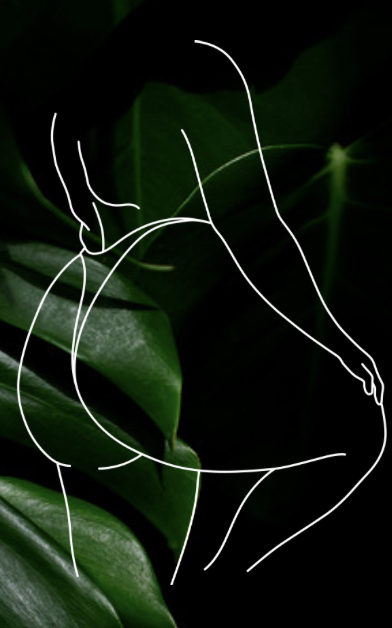 Back of Thigh