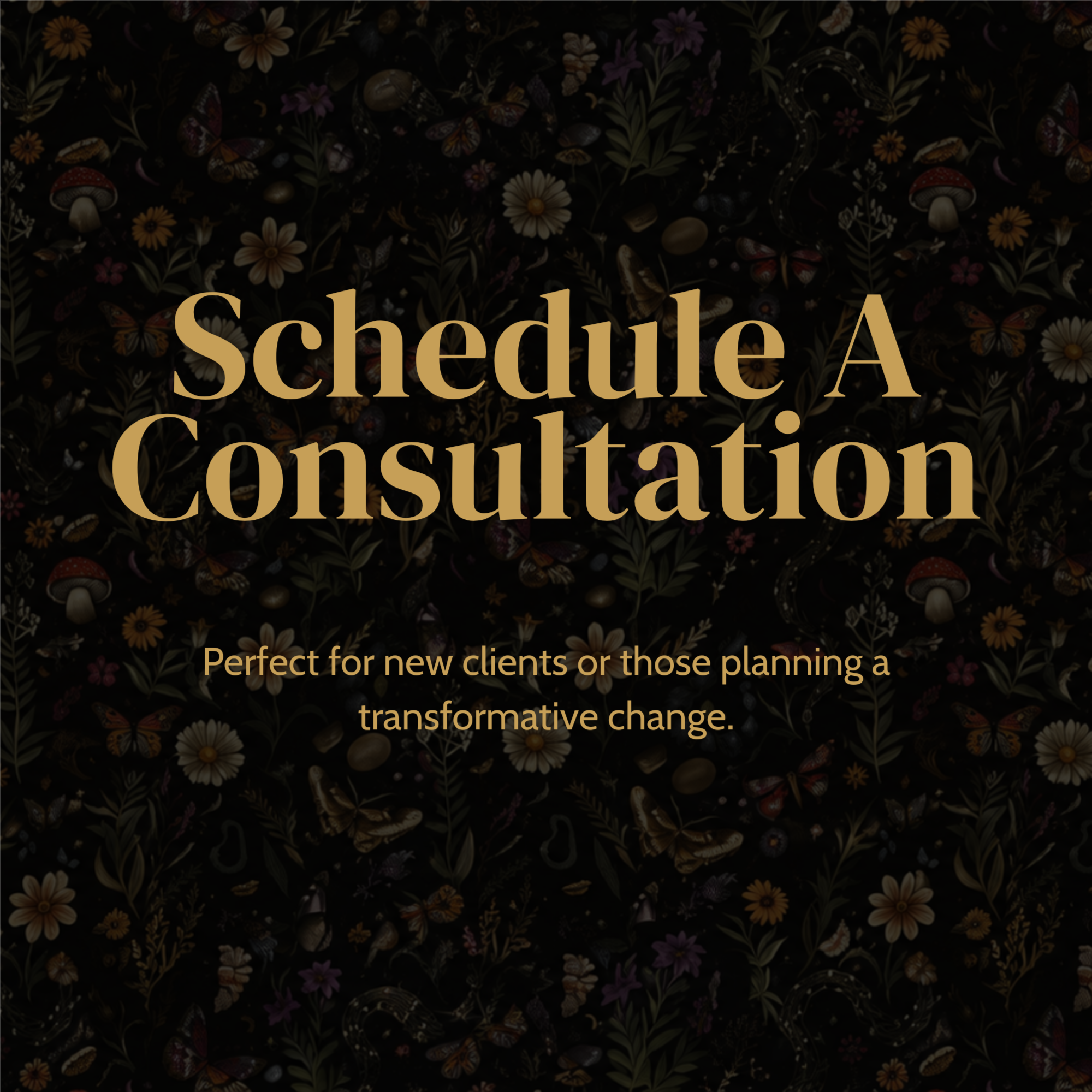 Consultation at Meraki Beauty & Barbering in Egg Harbor City, NJ
