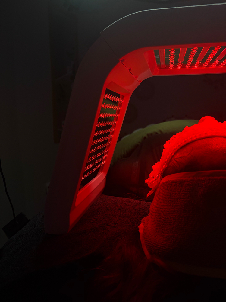 hydrating collagen facial ₊⊹