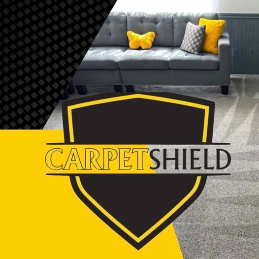 Carpet cleaning - Living room