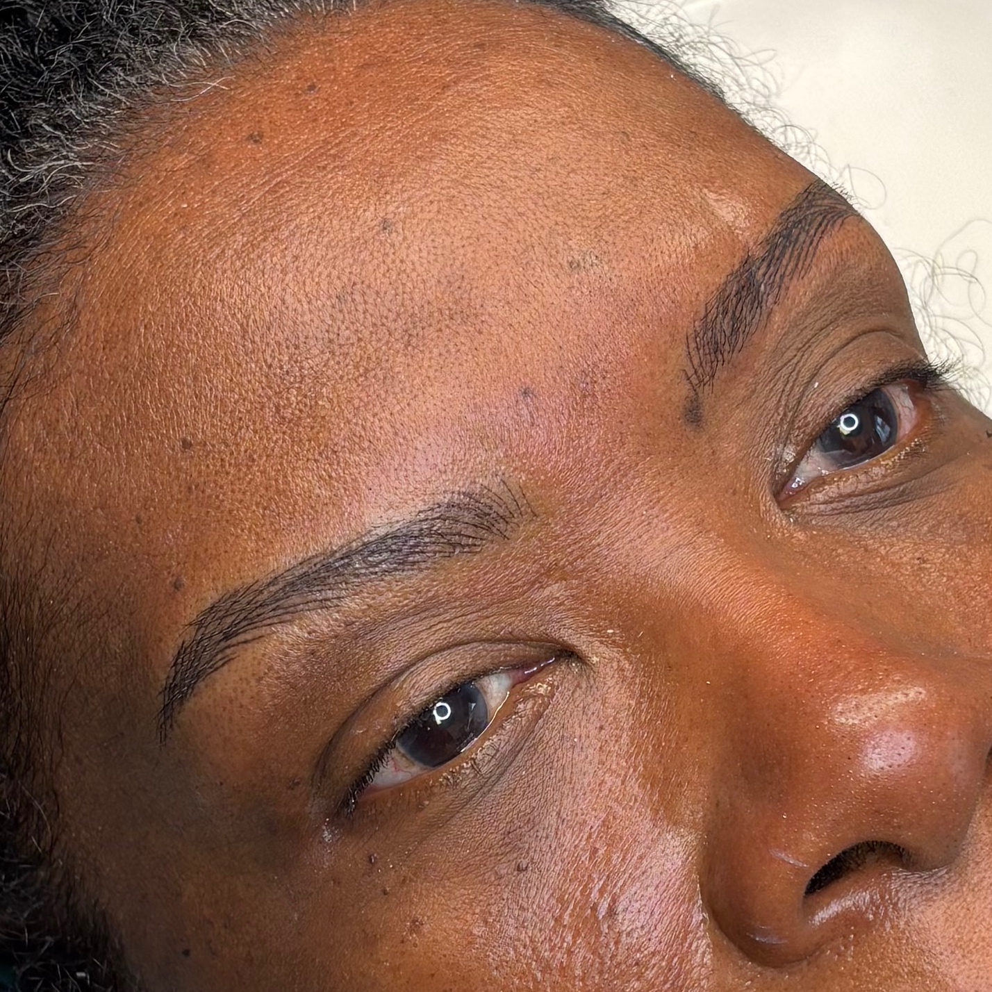 Hair Strokes (Microblading or Nano) at Lavish Stylez Studio in Charlotte, NC