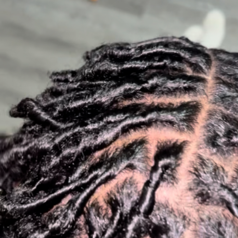 Starter Locs at Royal Roots in Oak Park, MI