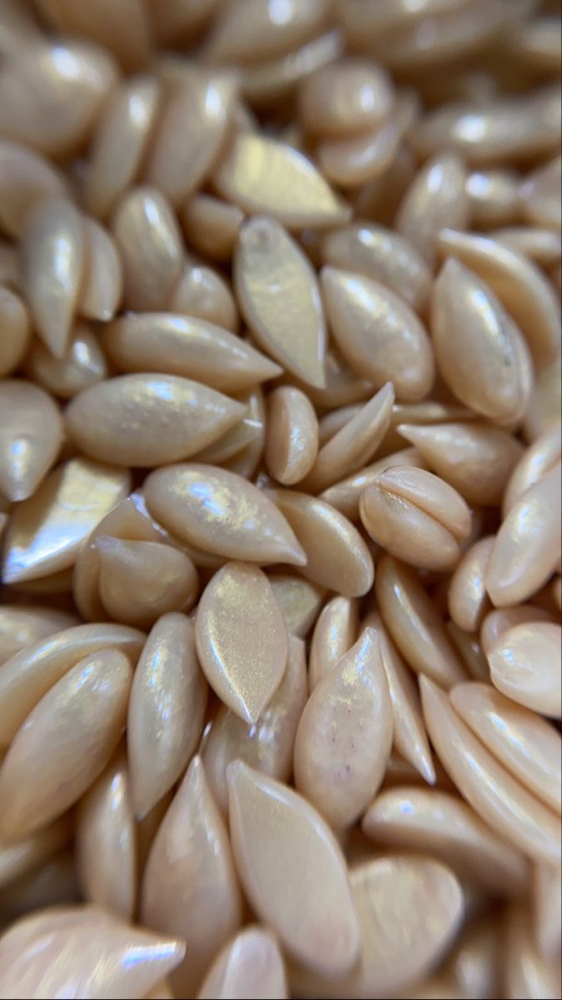 Full Chest Wax (F) at Aesthetics By Eli in Salinas, CA