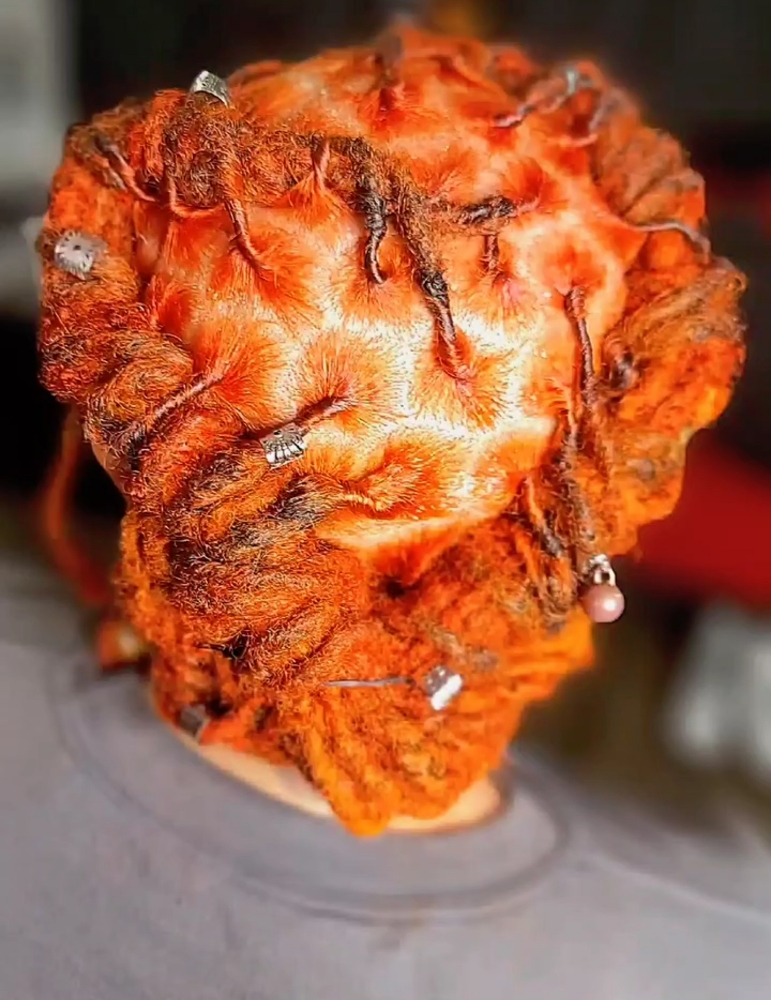 Starter Locs With COLOR