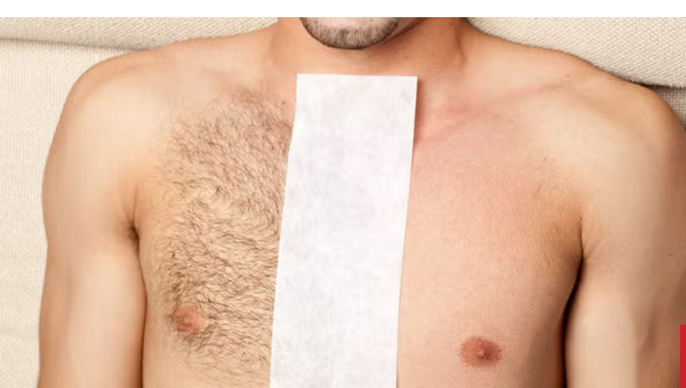 Chest