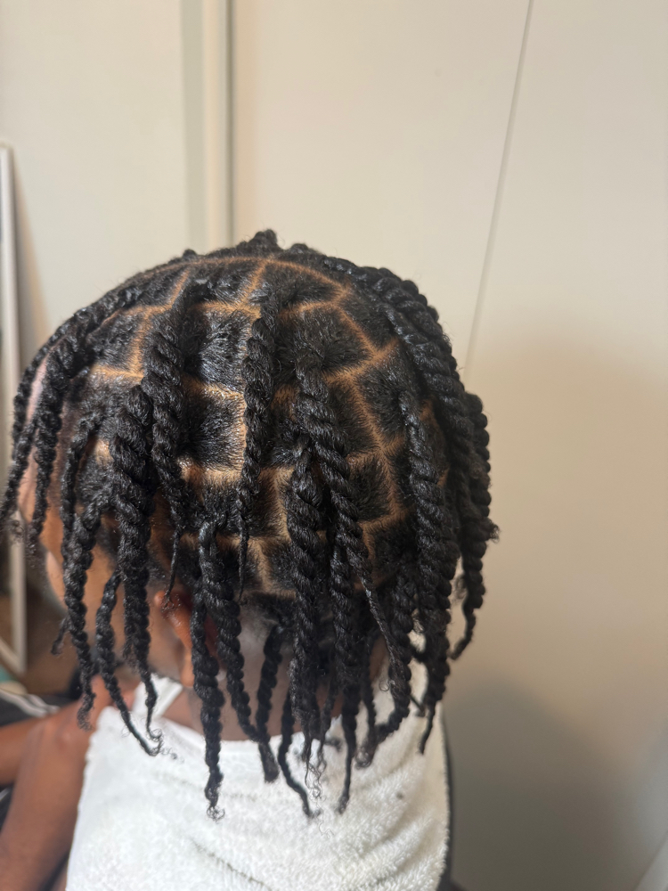Natural Two Strand Twist at StylesbyShanti in Phoenix, AZ
