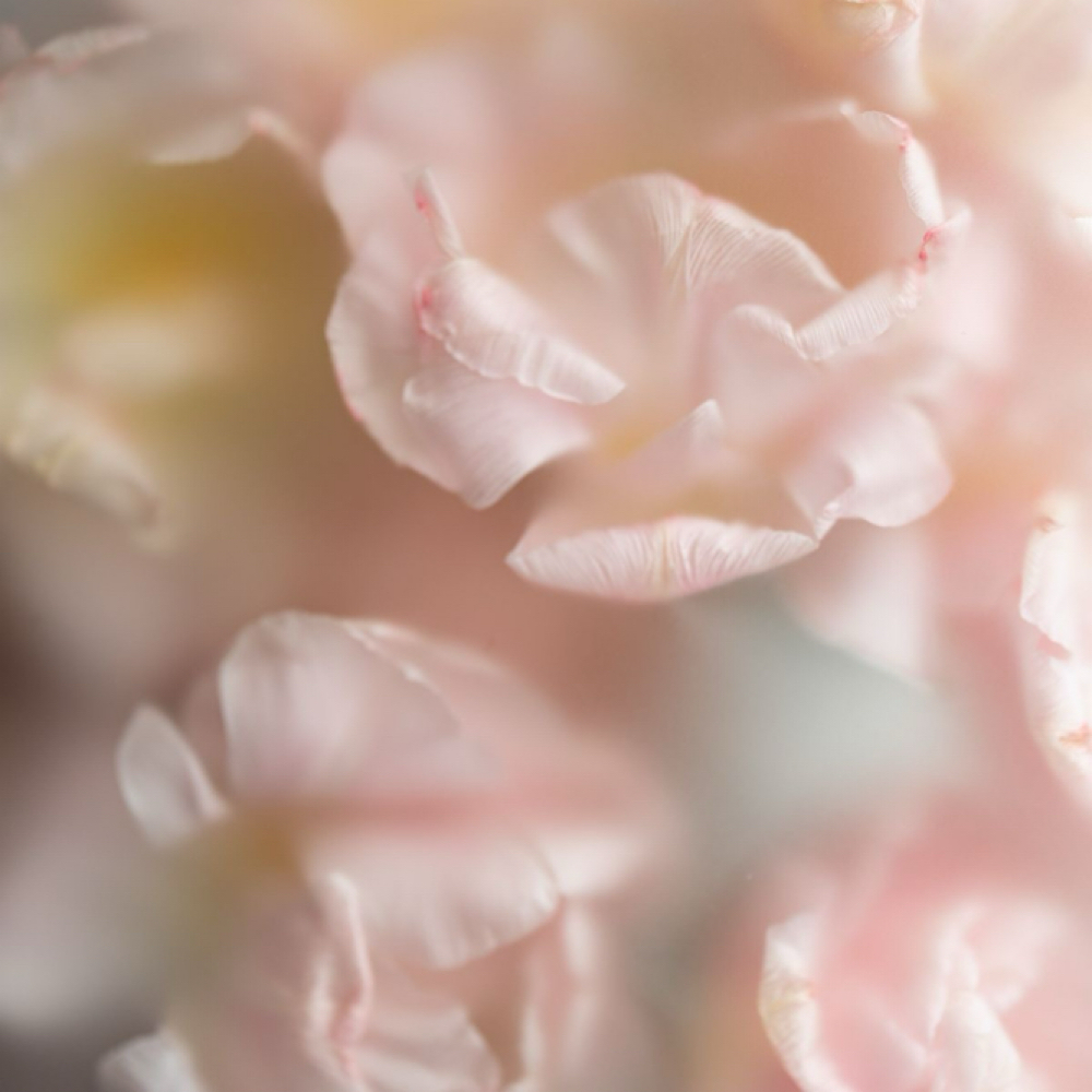🧖‍♀️ Mother’s Day Spa Package at Radiant Skin By Katrina in Bradenton, FL
