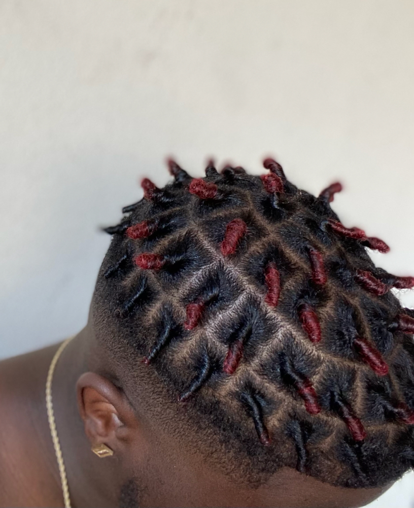 Starter Locs
