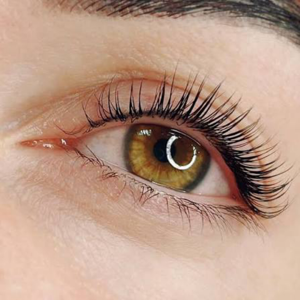 Lash Lift + Tint at Starling Hair & Beauty in Portsmouth, NH
