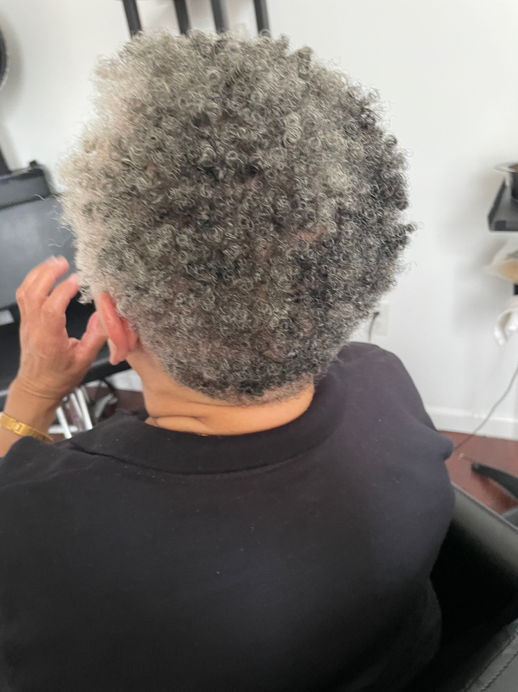 Hair Cut, Style, Deep Condition at B. Nicole Beauty in Brooklyn, NY