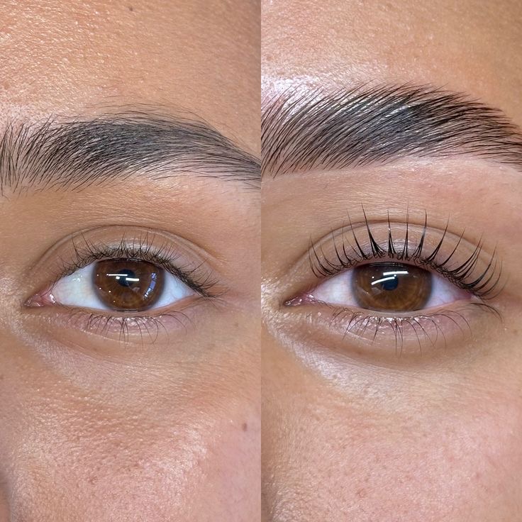 Lash Tint at Skinfluence in CO, CO