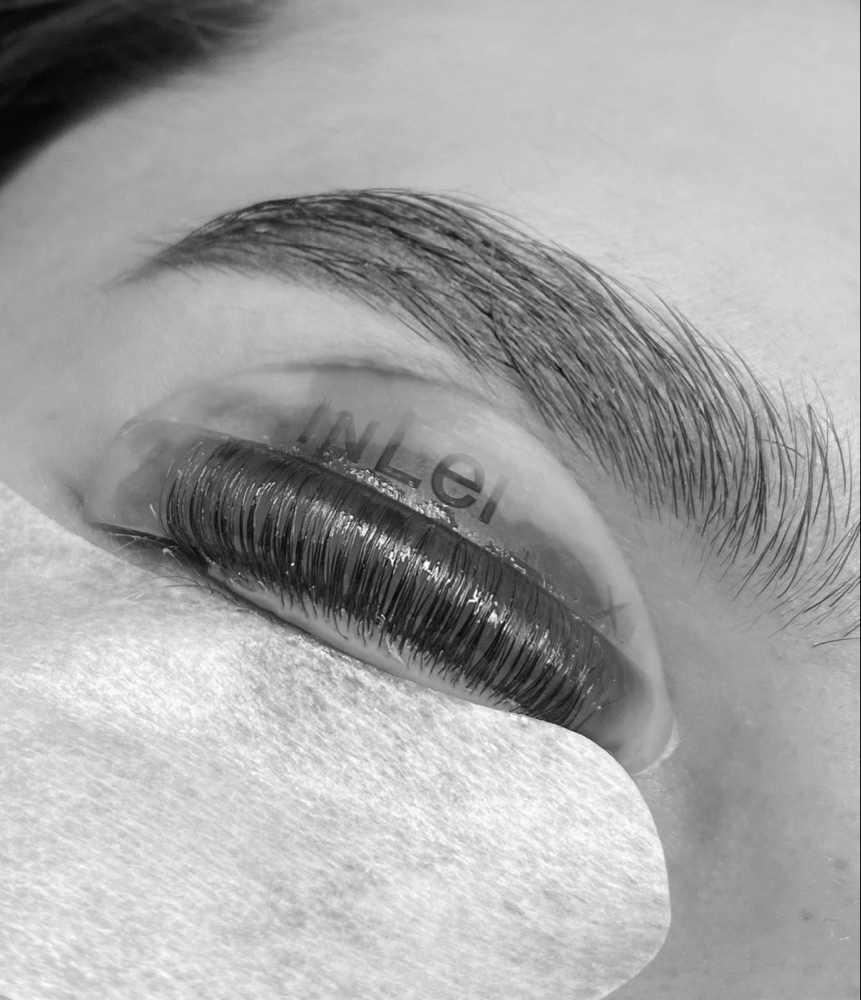 Lash Tint ONLY