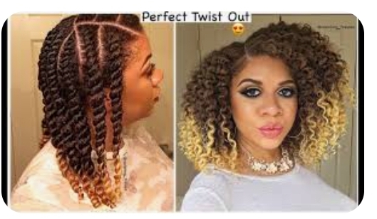 Twist/Braidout at Diva Designs By Monica in Stratford, CT