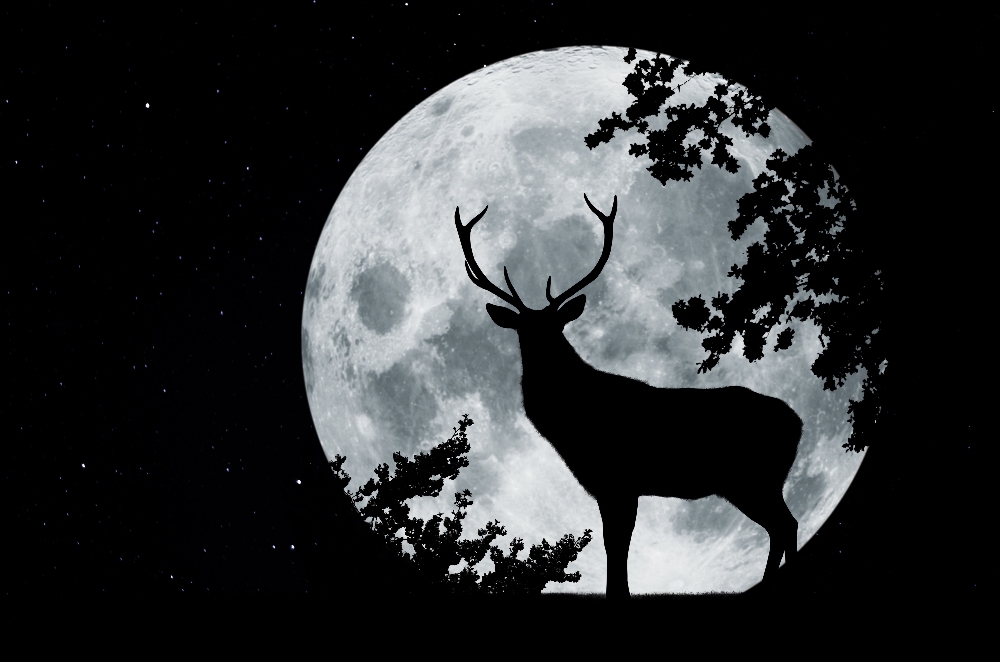 MONTHLY SPECIAL! Hunter's Moon