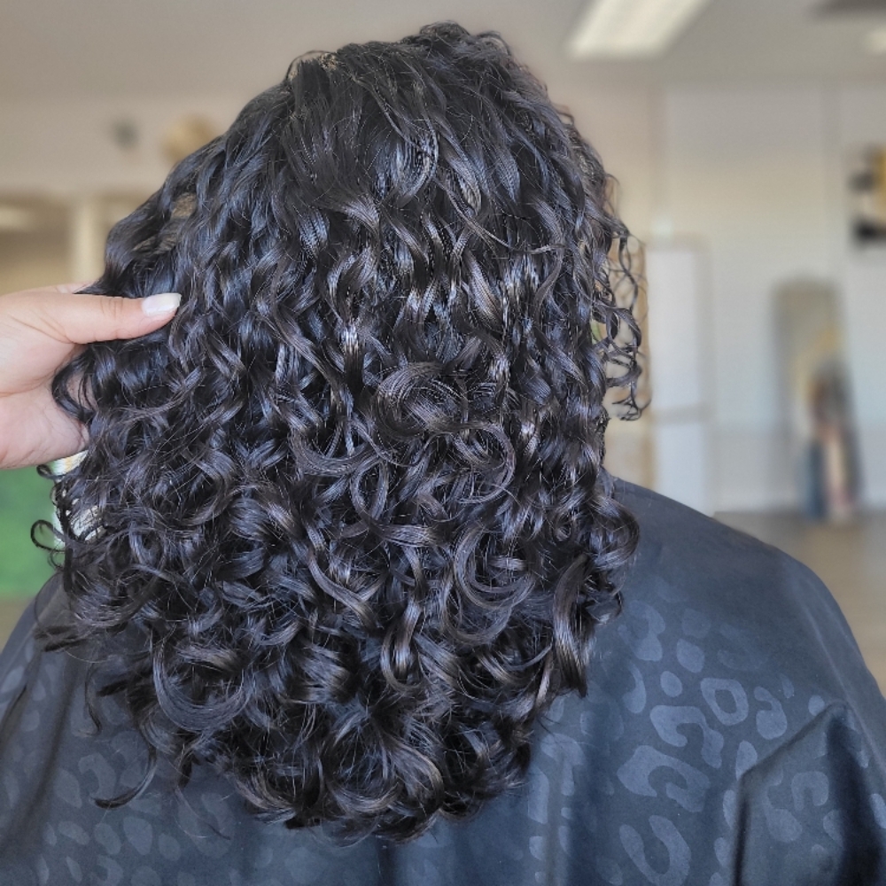 All Over Color at HAIR BY ANGELEAH in Silverdale, WA