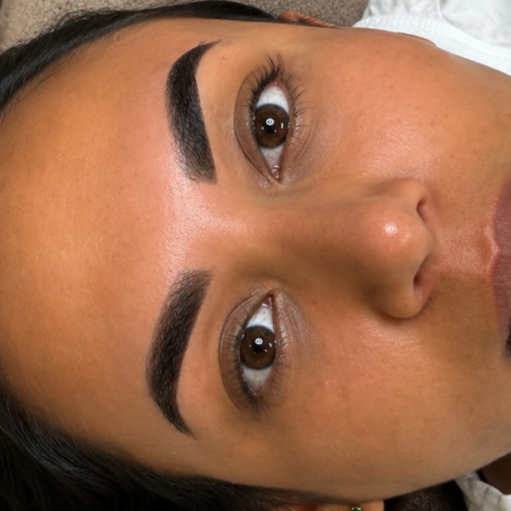 Signature Brow Sculpt + Hybrid Tint at Affirmation Beauty By Desi in Melbourne/ Suntree, FL