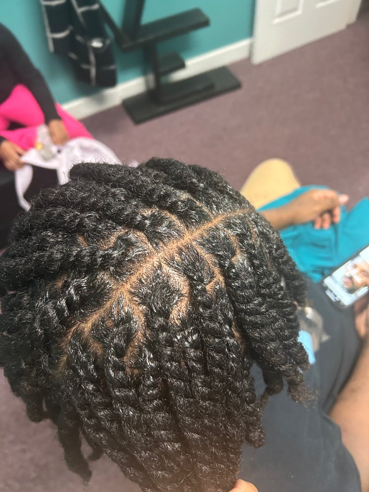 2strand Twist Natural Hair