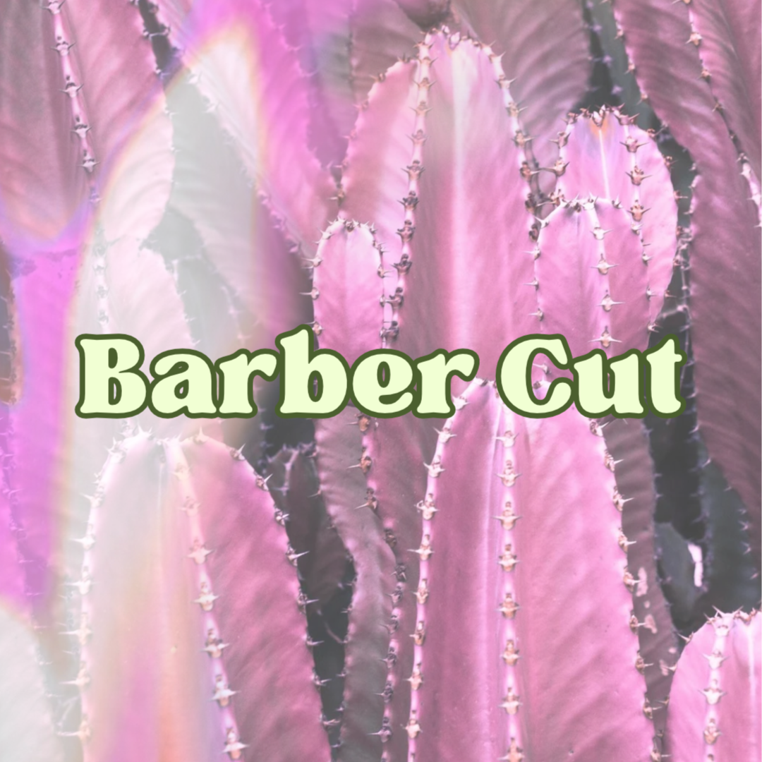 Barber Cut at Hailey Kay Hair in Minneapolis, MN