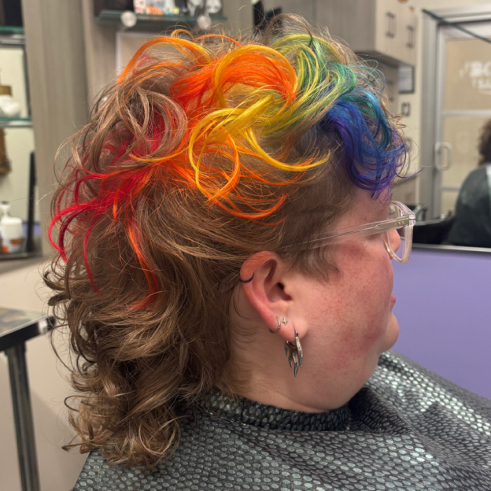 3 Hour Color at Bold Salon in Chattanooga, TN