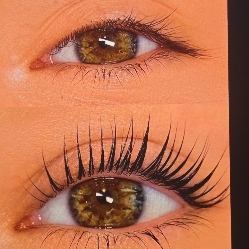 Keratin Infusion Lash Lift + Tint at CANELA STUDIO in CLIFTON PARK, NY