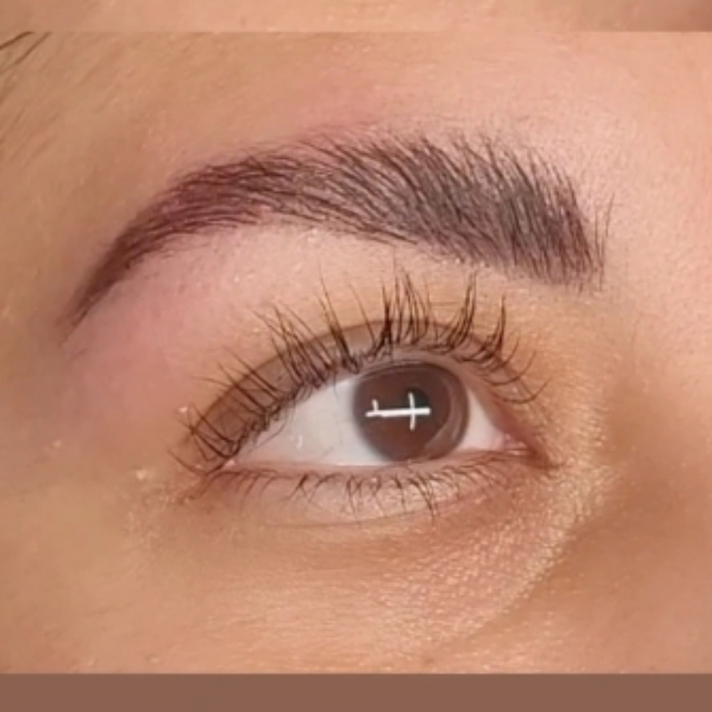Lash Lift ,Brow Lami.,Tint & Wax at Bare Skin & Body Spa, LLC in St.Louis, MO