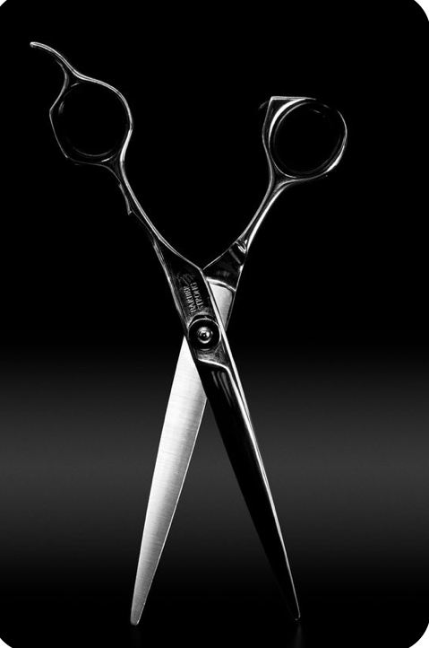 Haircut + Style