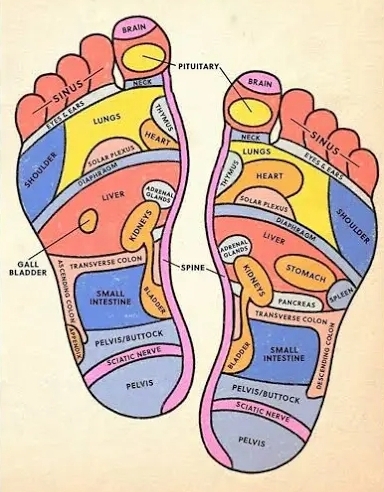 Reflexology 50min