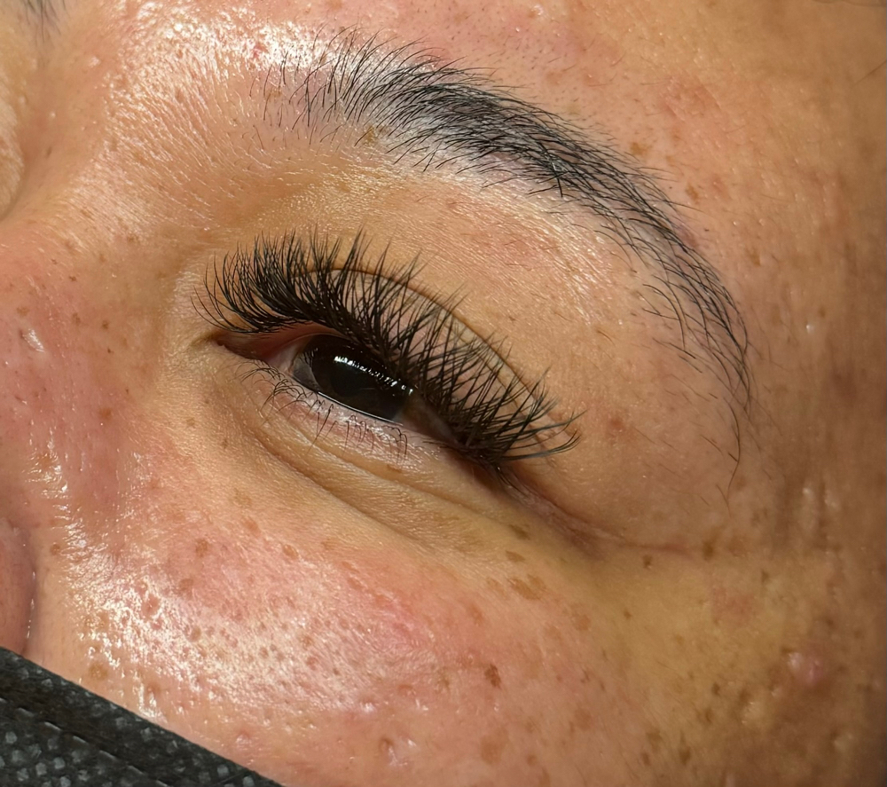 Dainty Full Classic’s Y Lash