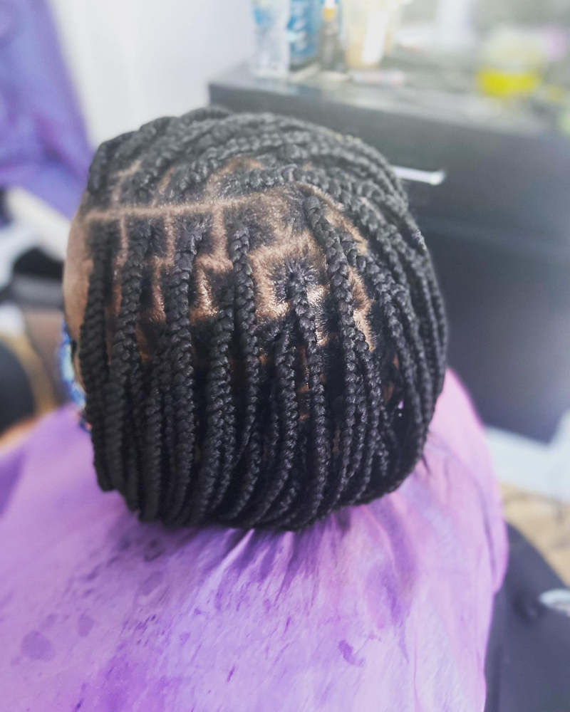 Box Braids Bob Style (medium)