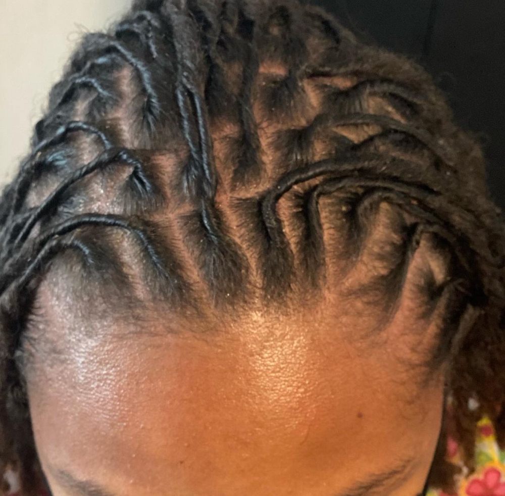 Small-Medium Starter Locs