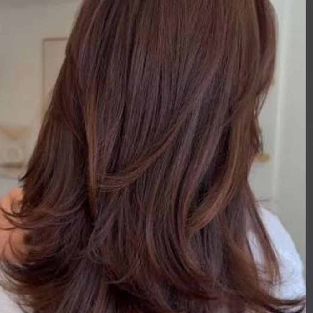All Over Color/ Haircut at Eli Higuera in Chula Vista, CA