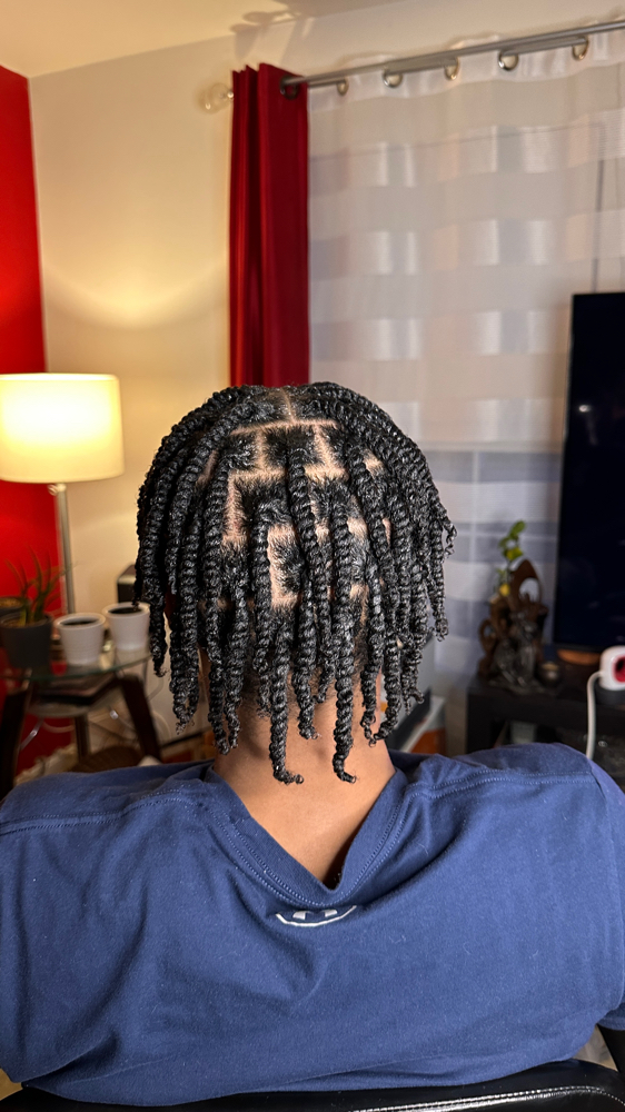 Twists/Braids