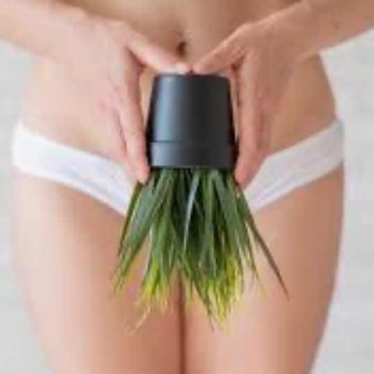Wax or Sugar - Brazilian + at Skincare By Jessa in EVANS, GA